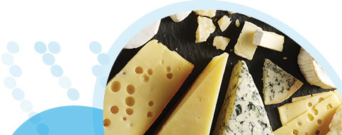 גבינות שונות