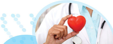 רופא עם חלוק לבן וסטטוסקופ אוחז בלב אדום מפלסטיק
